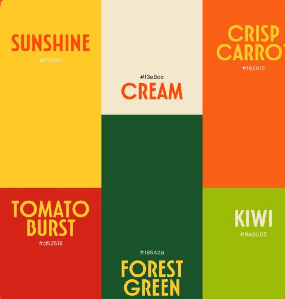 Brand Colour palette exploration